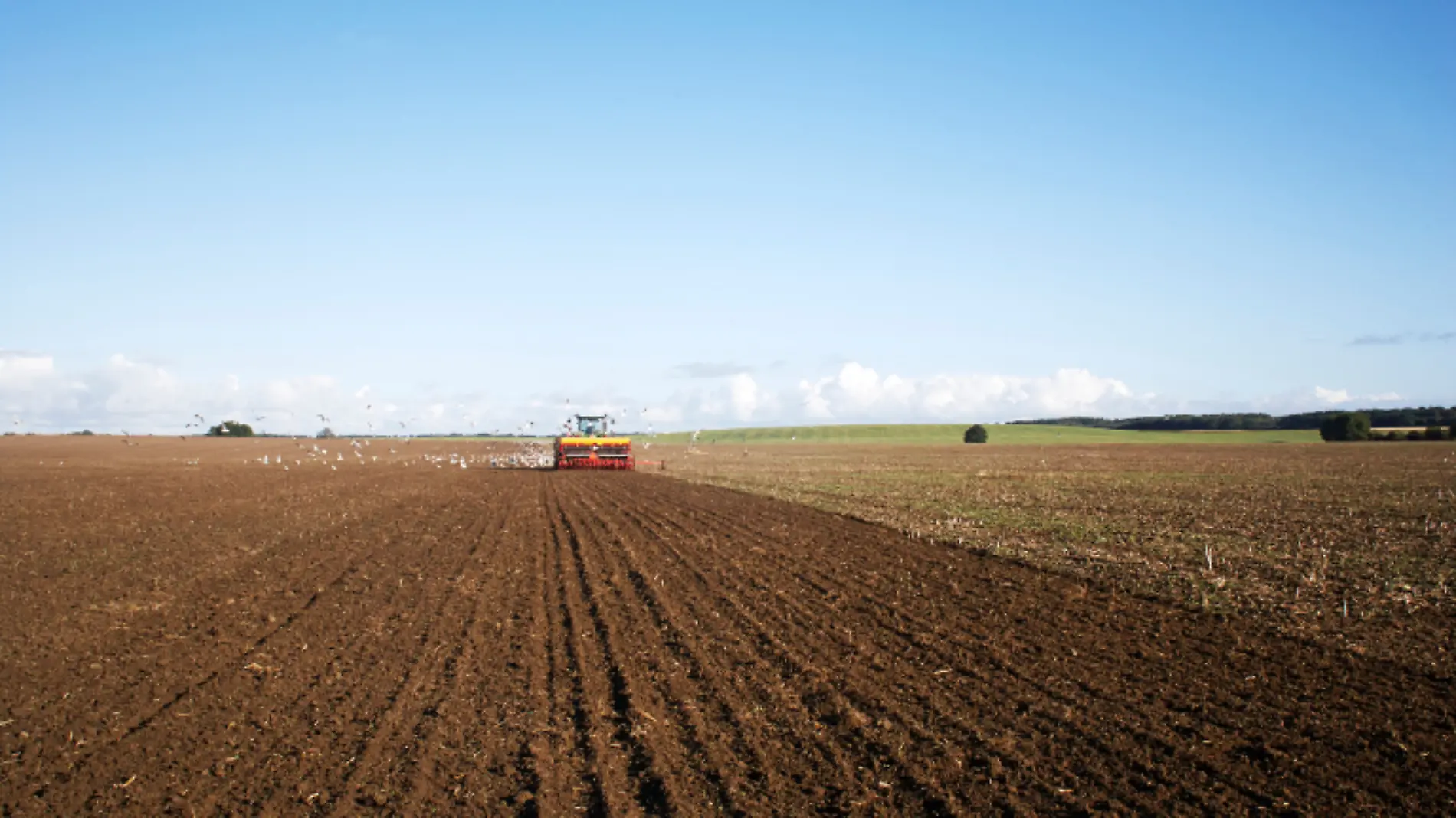 Siembra agricultores